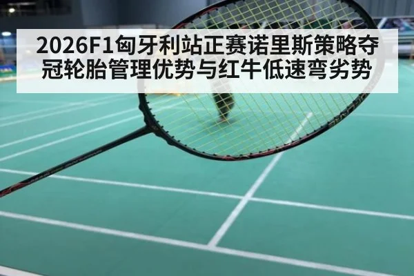 2026F1匈牙利站正赛诺里斯策略夺冠轮胎管理优势与红牛低速弯劣势